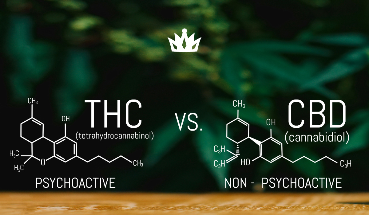 What Is the Difference Between CBD and THC? [A Full Guide]